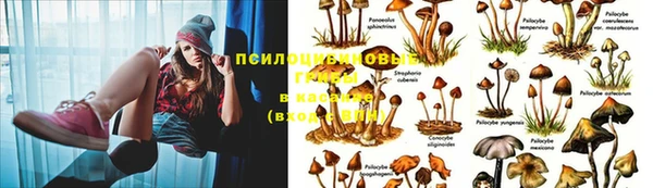 героин Арсеньев