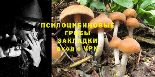 марки nbome Баксан